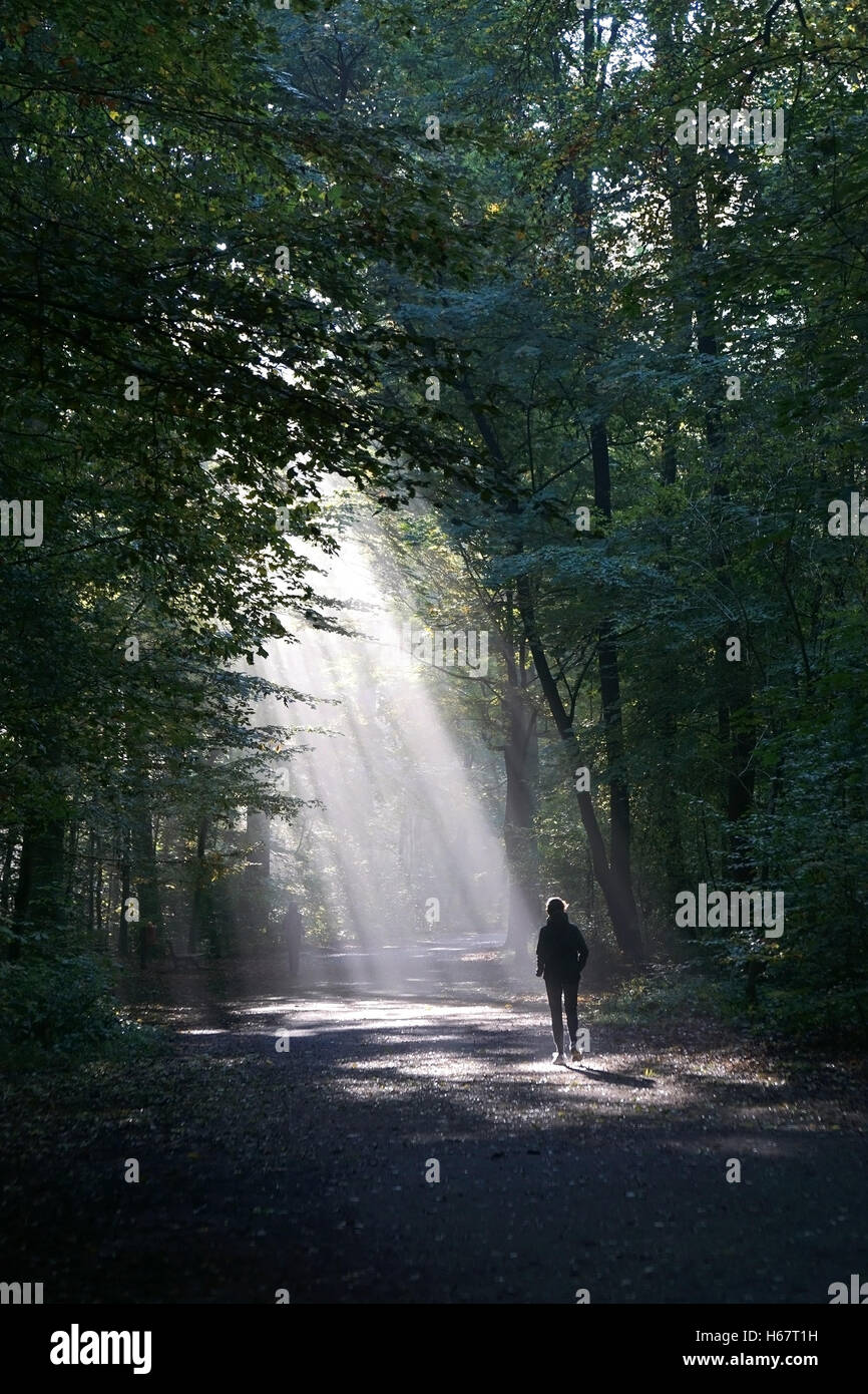 unrecognizable jogger running through dark wood silhouetted against shaft of sunlight Stock Photo