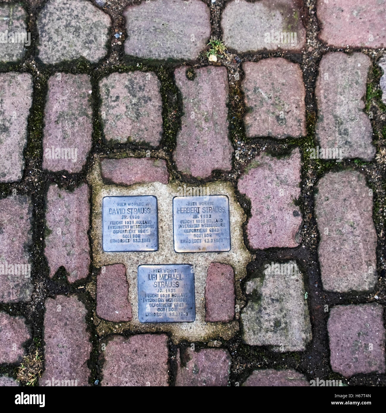Memorial plaques for Victims if the Nazis during WW2 in cobbled street