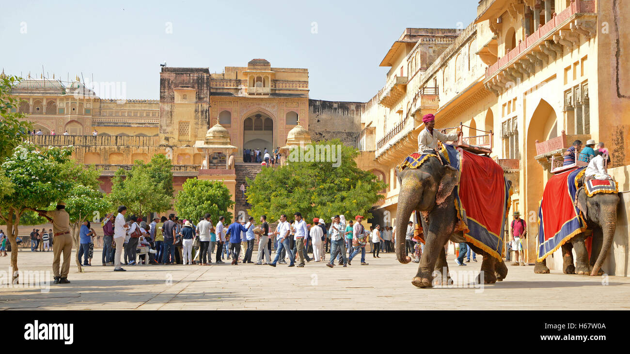 Mahout riding decorated Indian Elephant at Amer fort Stock Photo - Alamy