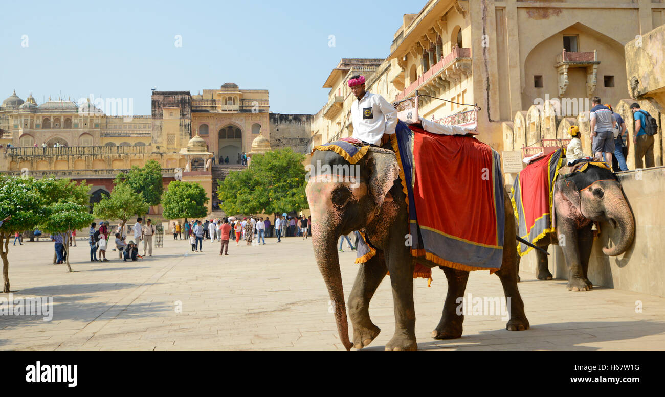 Decorated elephant hi-res stock photography and images - Alamy