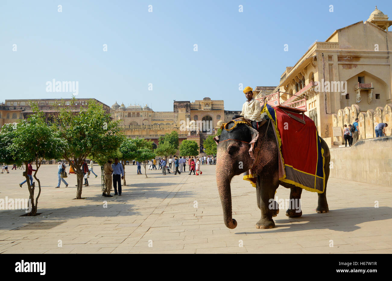 Mahout riding decorated Indian Elephant at Amer fort Stock Photo - Alamy