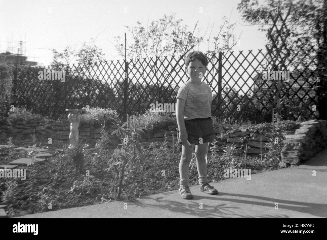 young boy playing with a screwdriver in garden uk 1950s Stock Photo