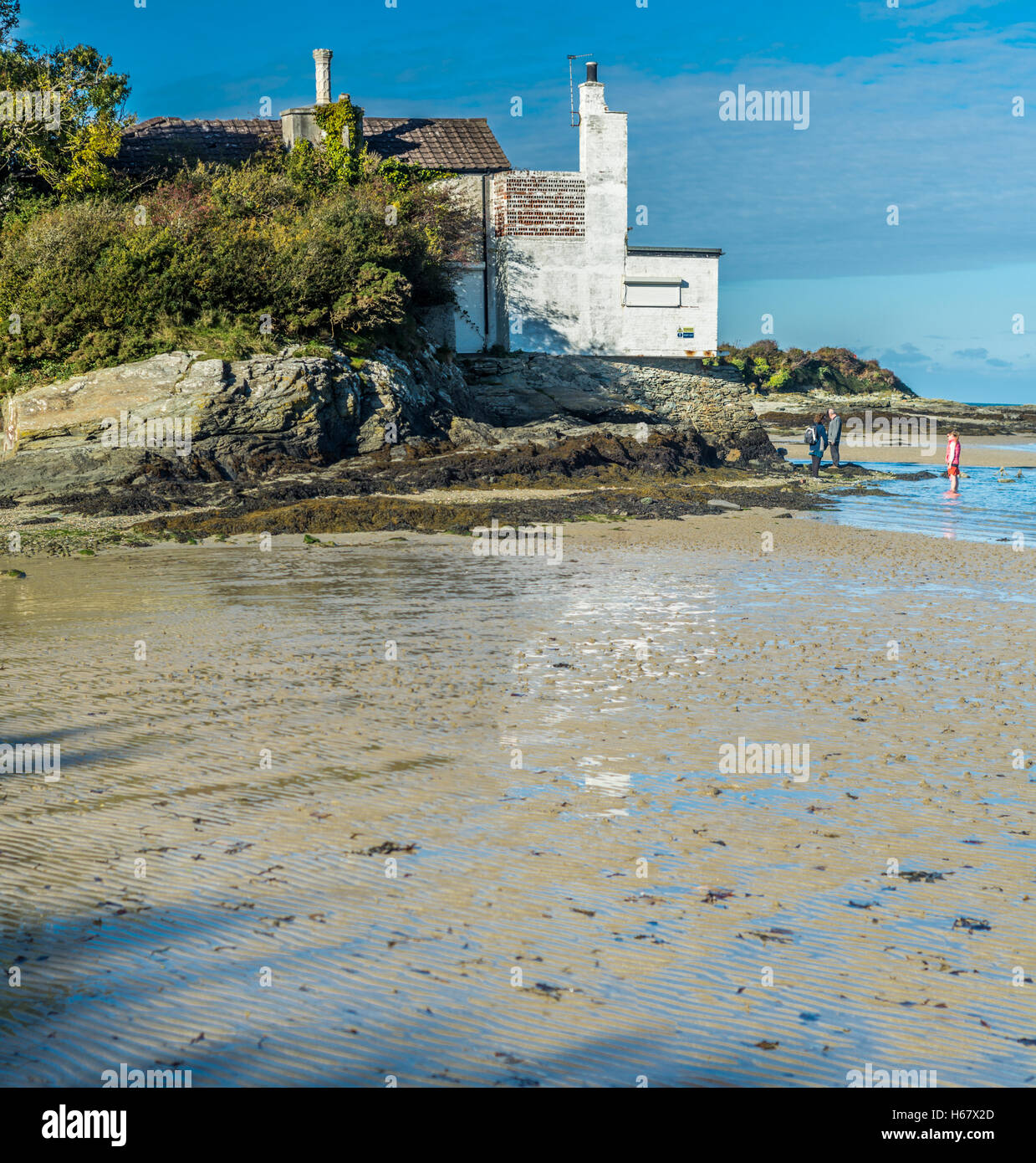 derelict-building-on-the-coastal-path-at-penrhos-country-park-on