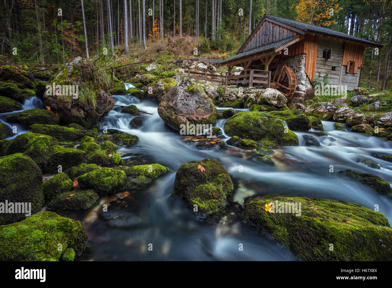 Old Water Mill. Image of the old wooden water mill the forest with the mountain creek in the foreground. Stock Photo