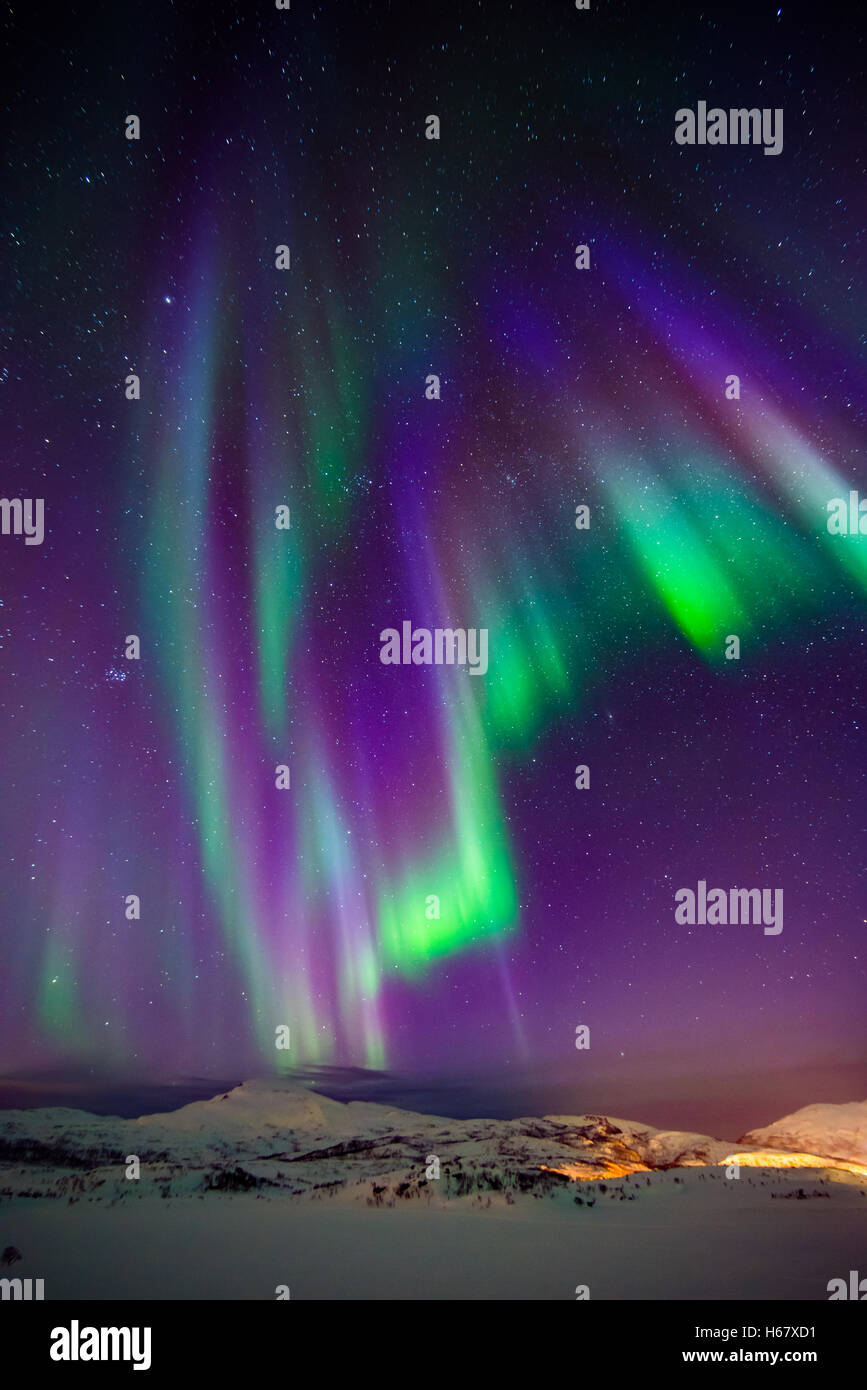 Northern lights over trees hires stock photography and images Alamy