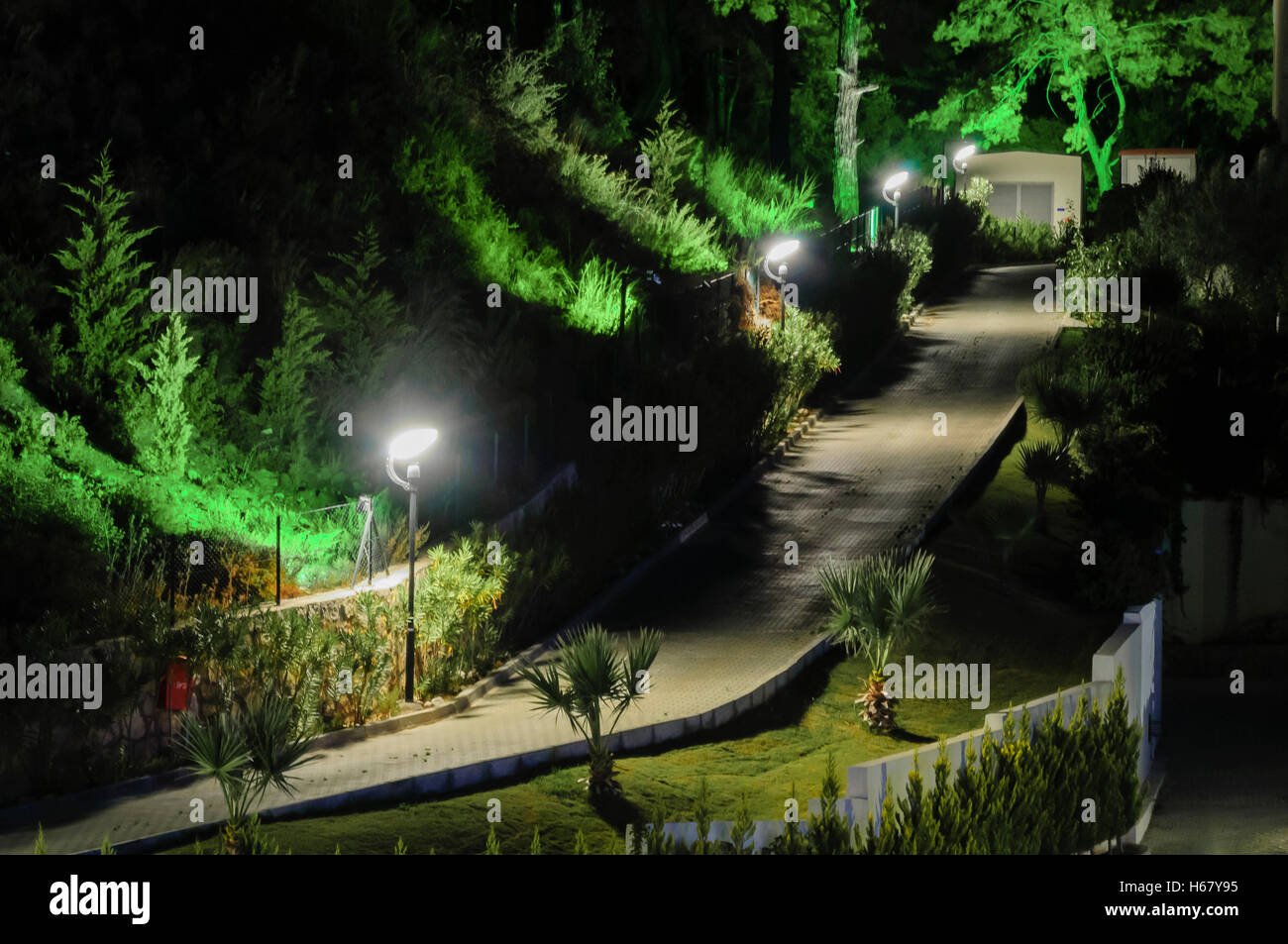 A steep road through a garden at night, with antilight pollution