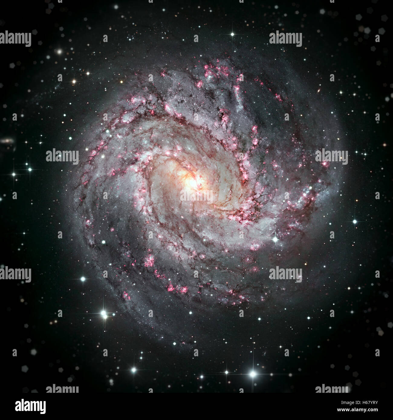 Messier 83, Southern Pinwheel Galaxy, M83 or NGC 5236 is a barred spiral galaxy in the constellation Hydra. Stock Photo