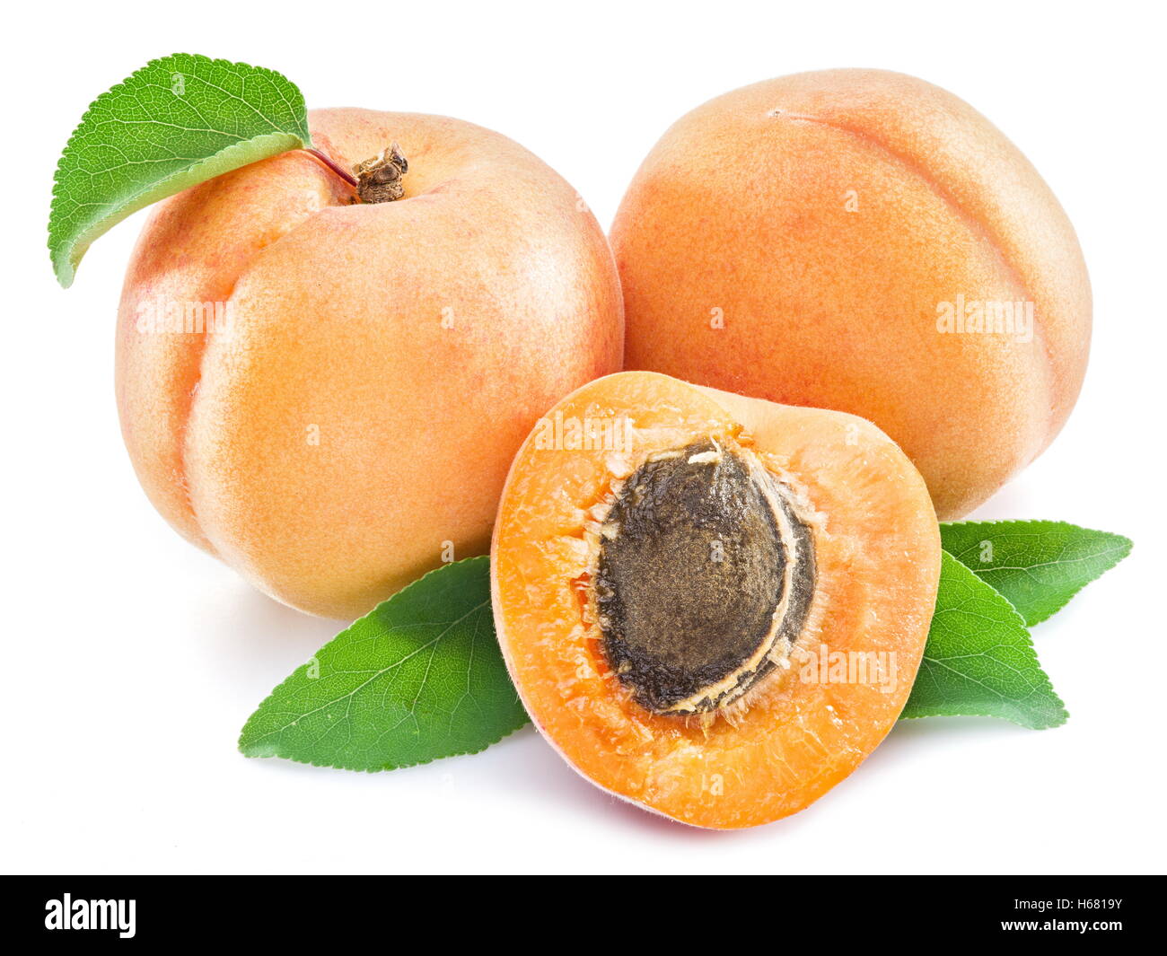 Apricot fruits and its cross-section on the white background Stock ...