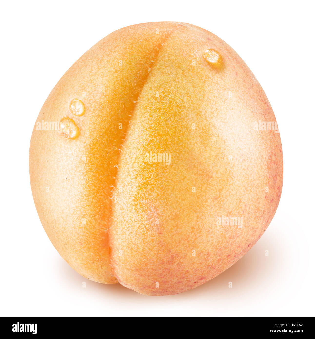 Ripe apricot fruit with water drops. Clipping paths Stock Photo Alamy