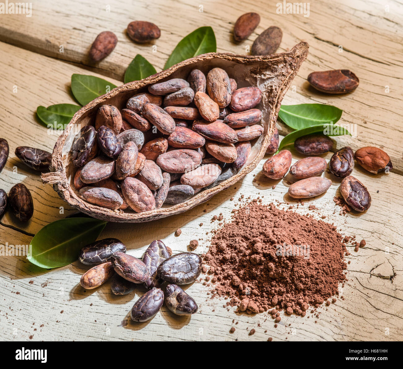 Cocoa powder and cacao beans on the wooden table. Stock Photo