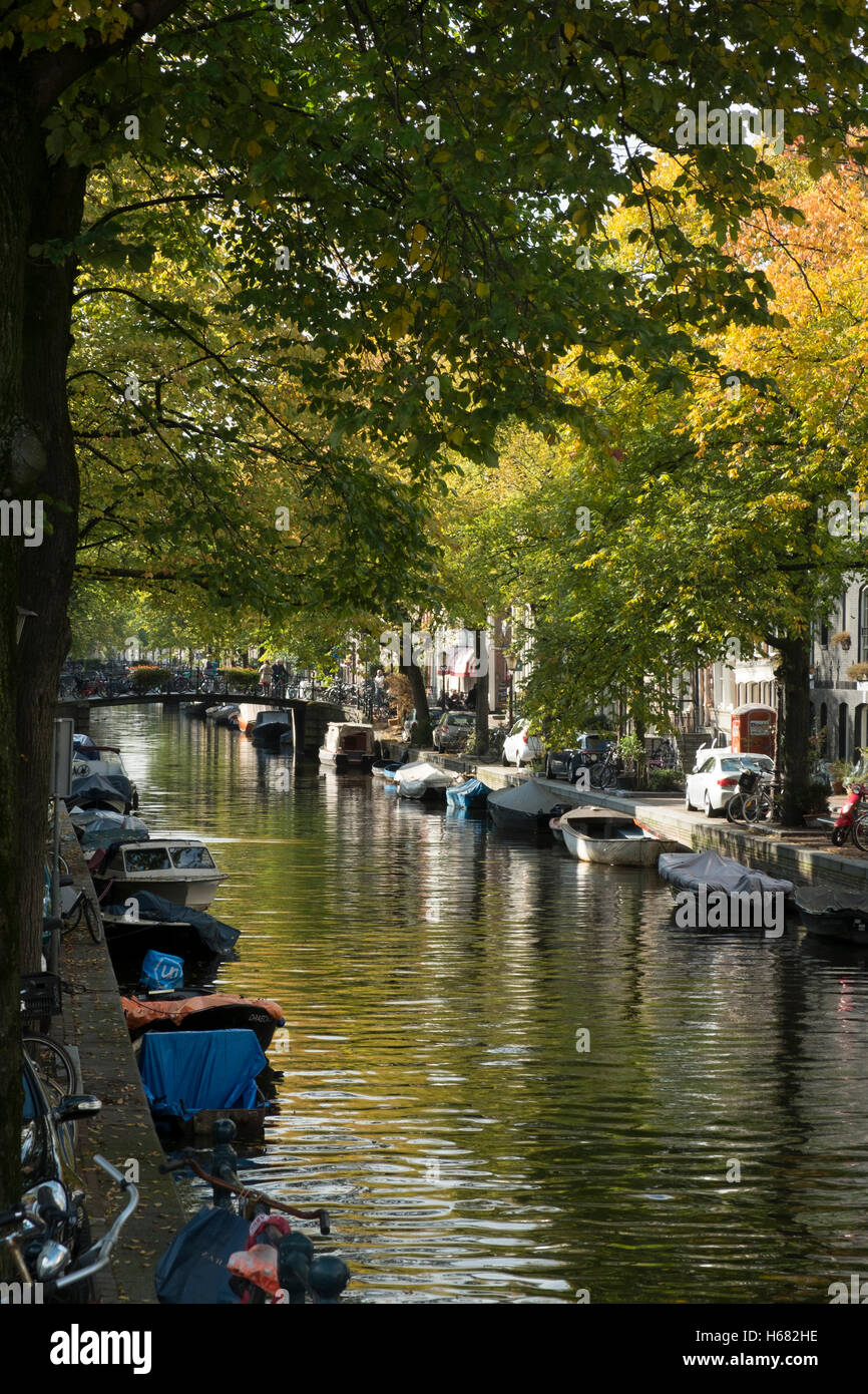 Early autumn on an Amsterdam canal. Stock Photo