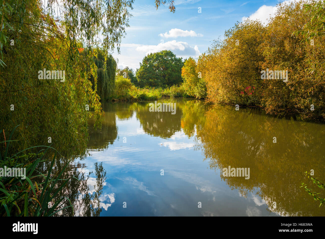 A pond in a park in the fall, London, Uk Stock Photo