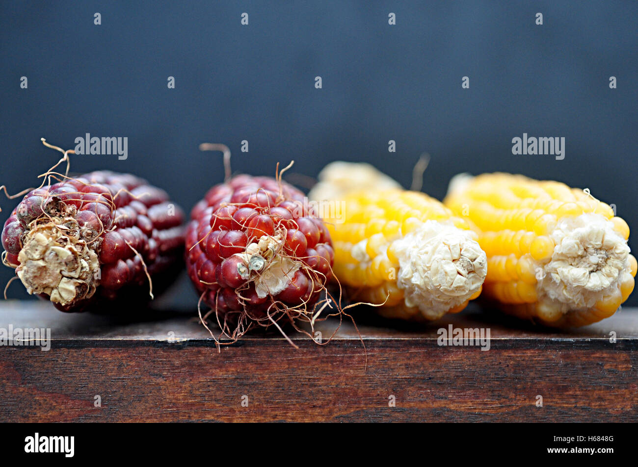 corn cobs with shiny beads Stock Photo - Alamy