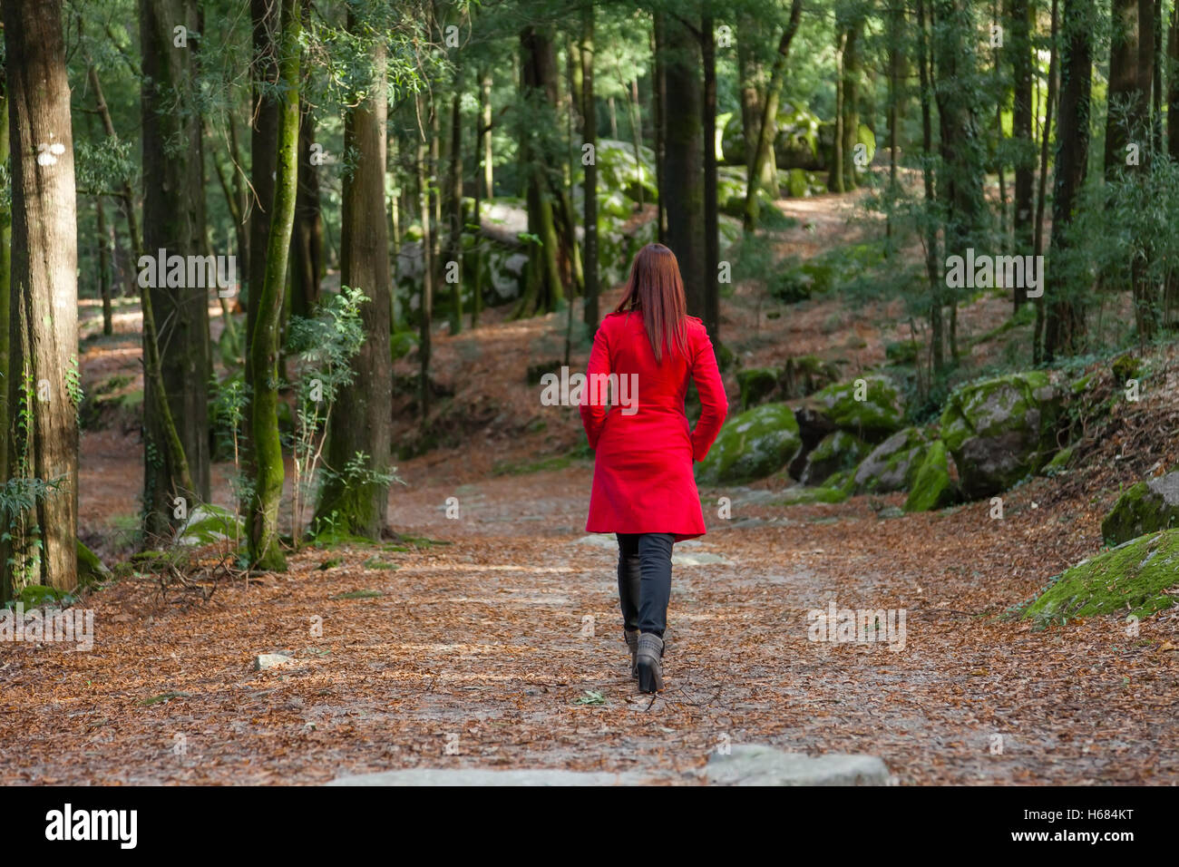 Young woman walking alone on a forest path wearing a red long coat Stock Photo