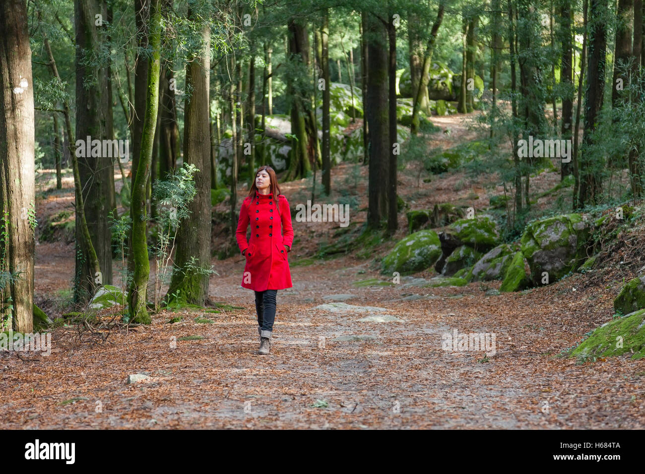 Young woman walking alone on a forest path wearing a red long coat ...