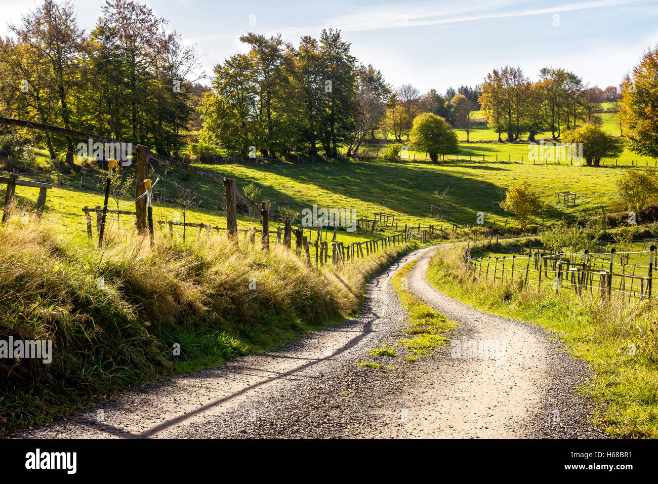 A rural road in between green pastures. Stock Photo