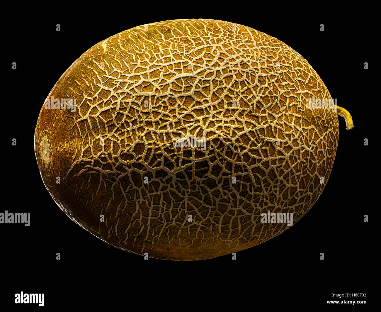 Melon isolated on black background Stock Photo - Alamy