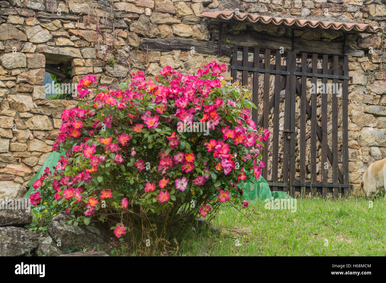 peyrot,beaumont,ardeche,france Stock Photo