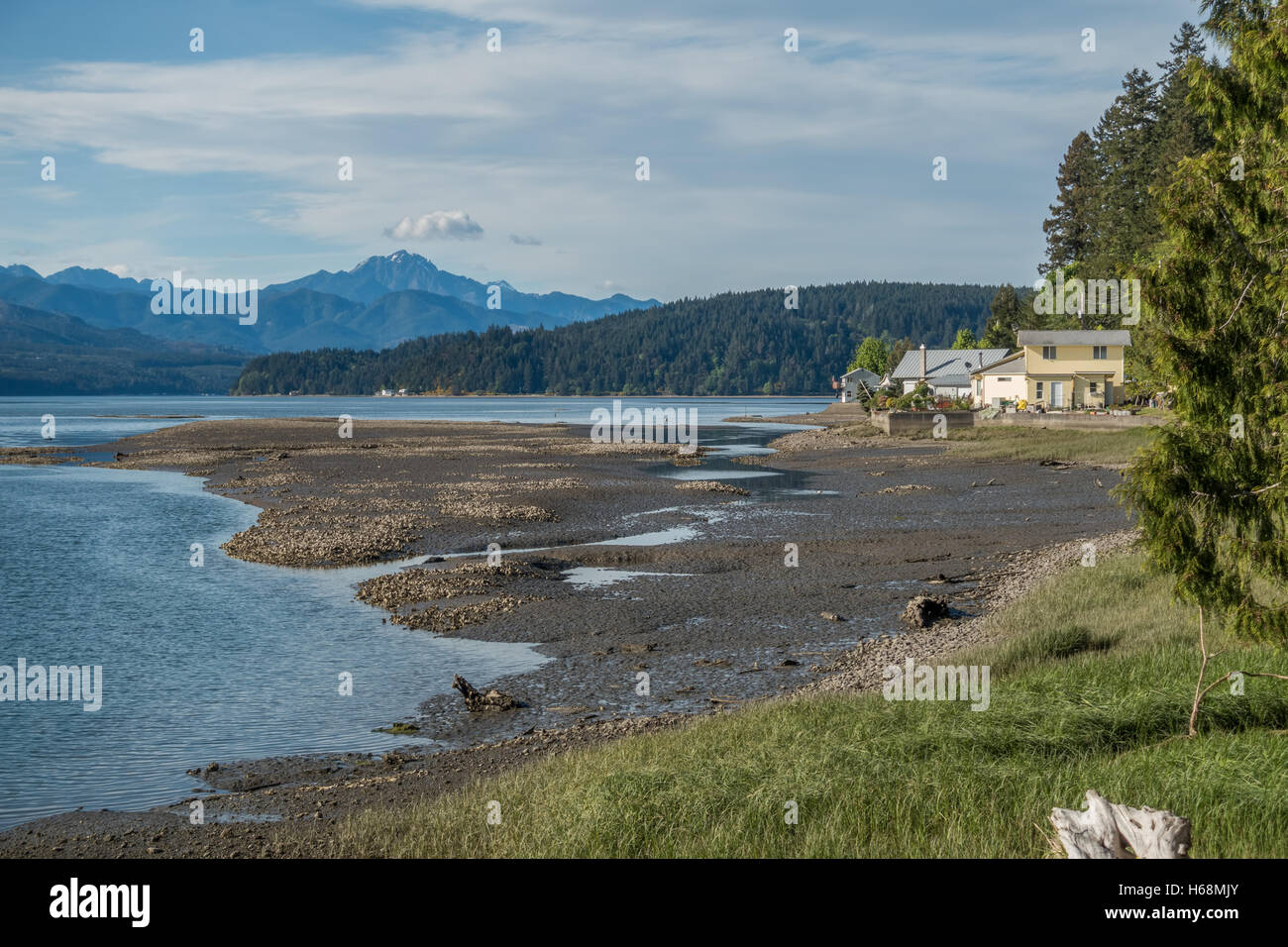 A view looking north from the south end of Hood Canal in Washington State. The Olympic Mountains can be seen in the distance. Stock Photo