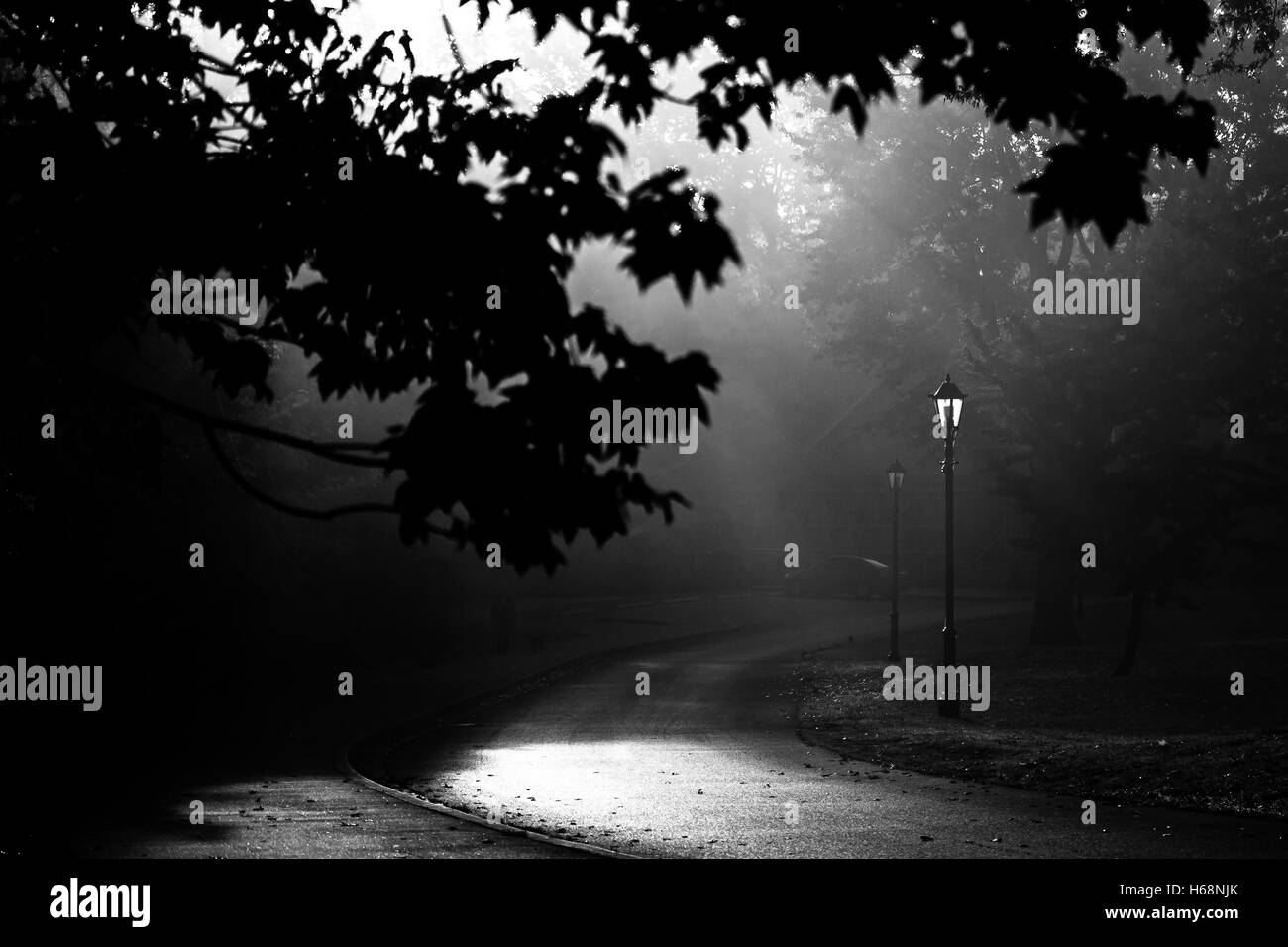 Early morning sun sunlight Black and White Stock Photos & Images - Alamy