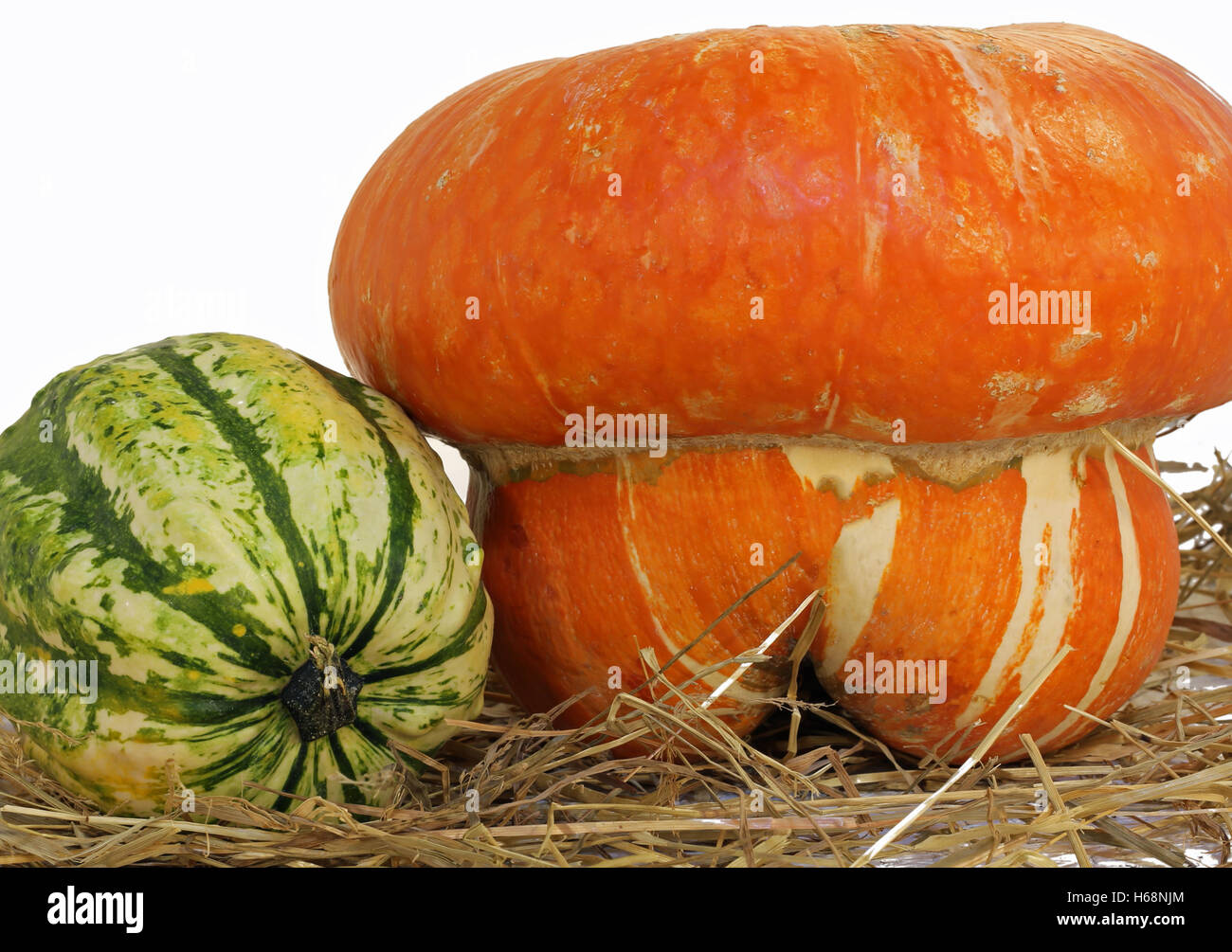 large orange pumpkin for halloween and a green zucchini on the straw in the fall Stock Photo