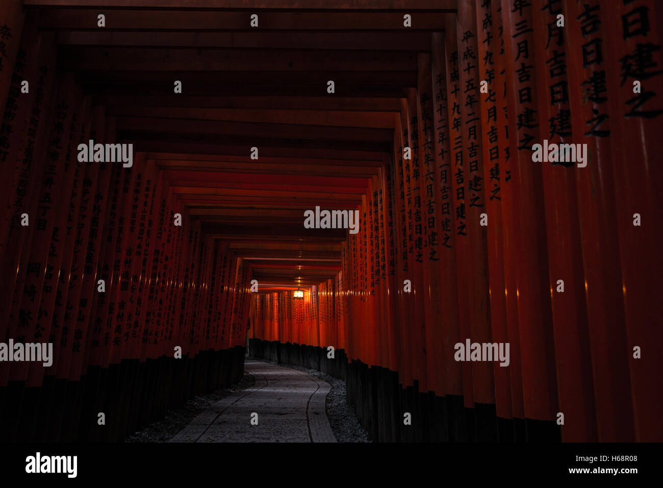 Taisha Tori Wooden Fushimi Gates, Kyoto, Japan Stock Photo