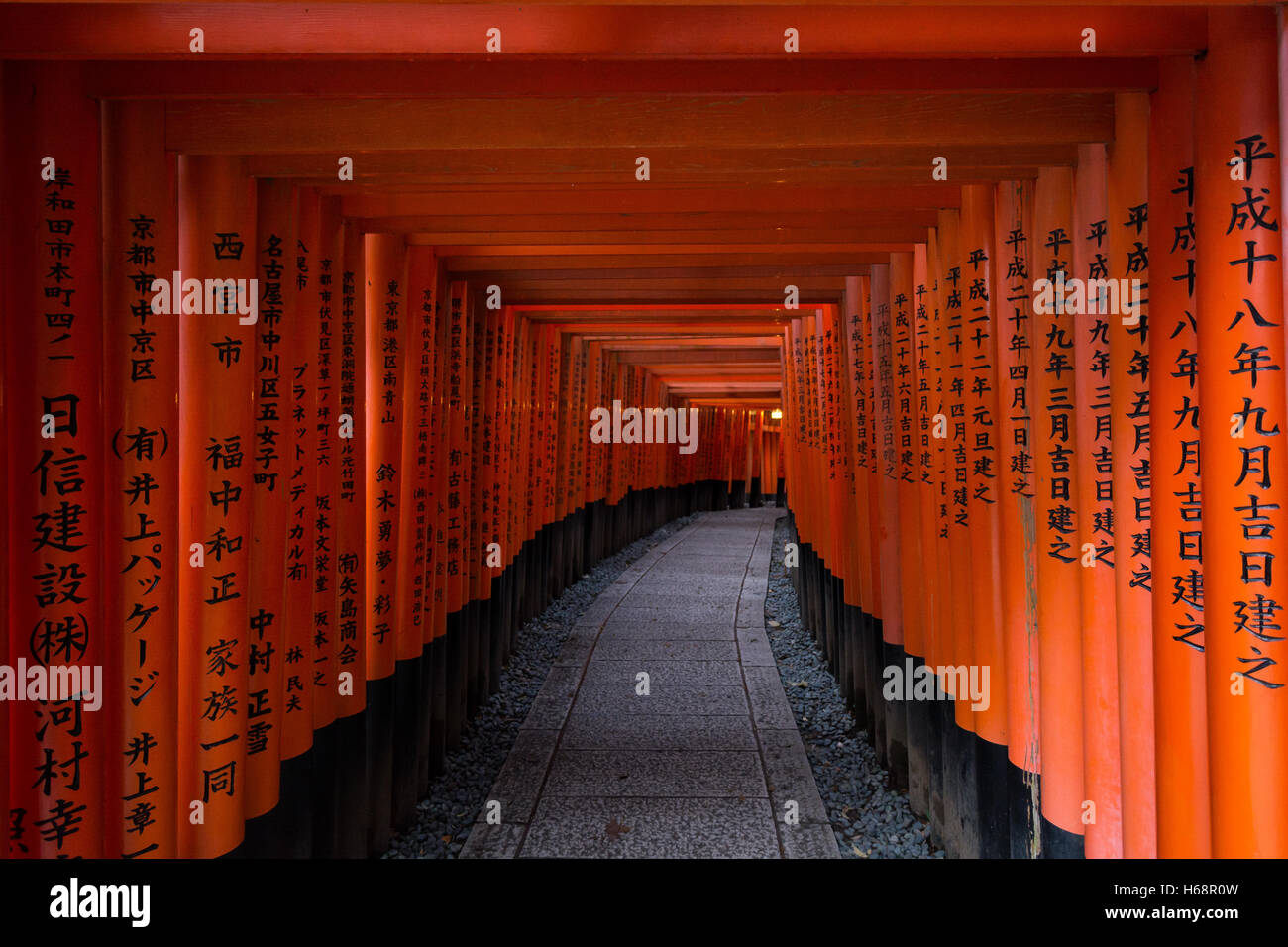 Taisha Tori Wooden Fushimi Gates, Kyoto, Japan Stock Photo