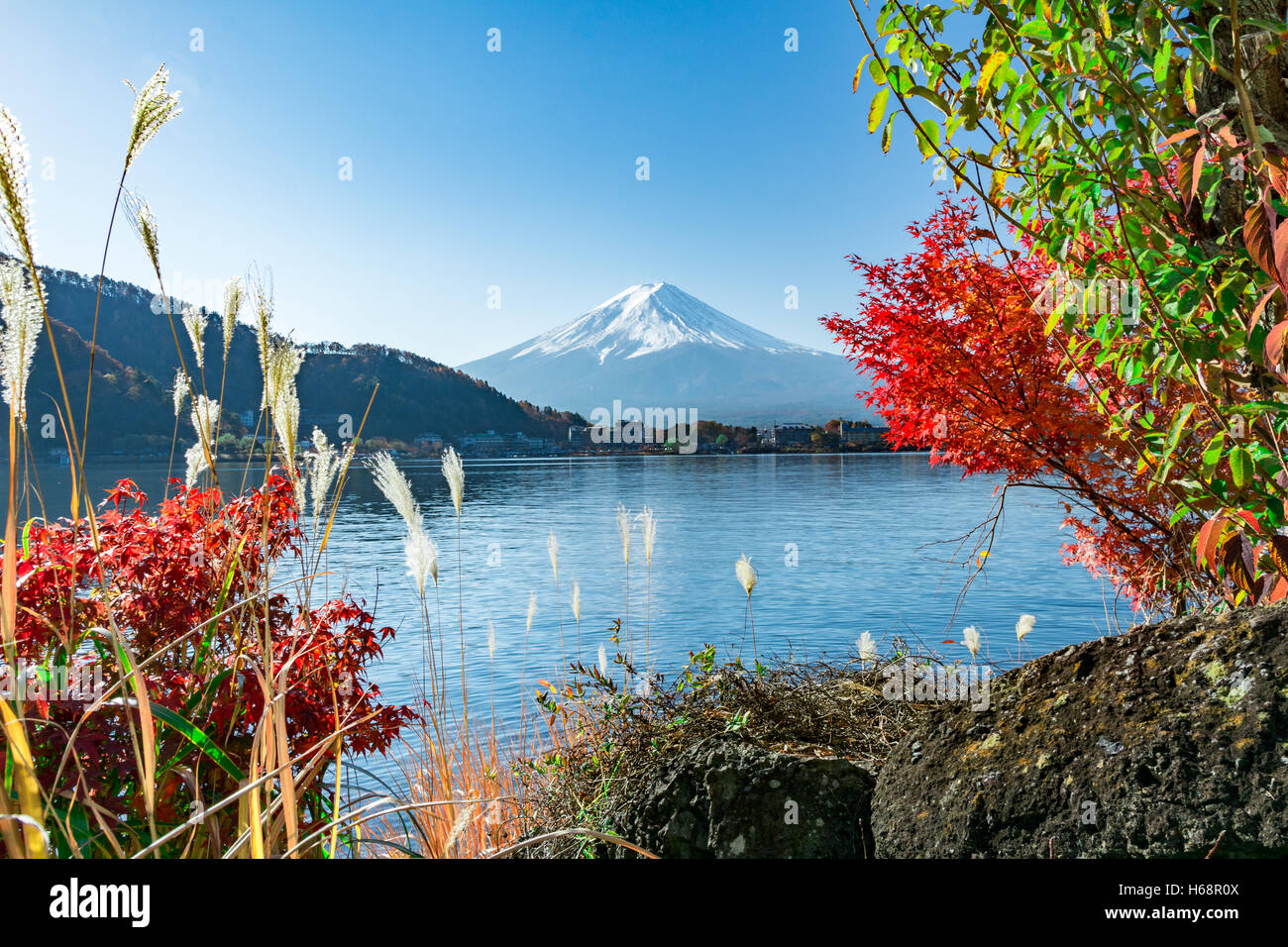 Mount Fuji Autumn Landscape, Fuji, Japan Stock Photo