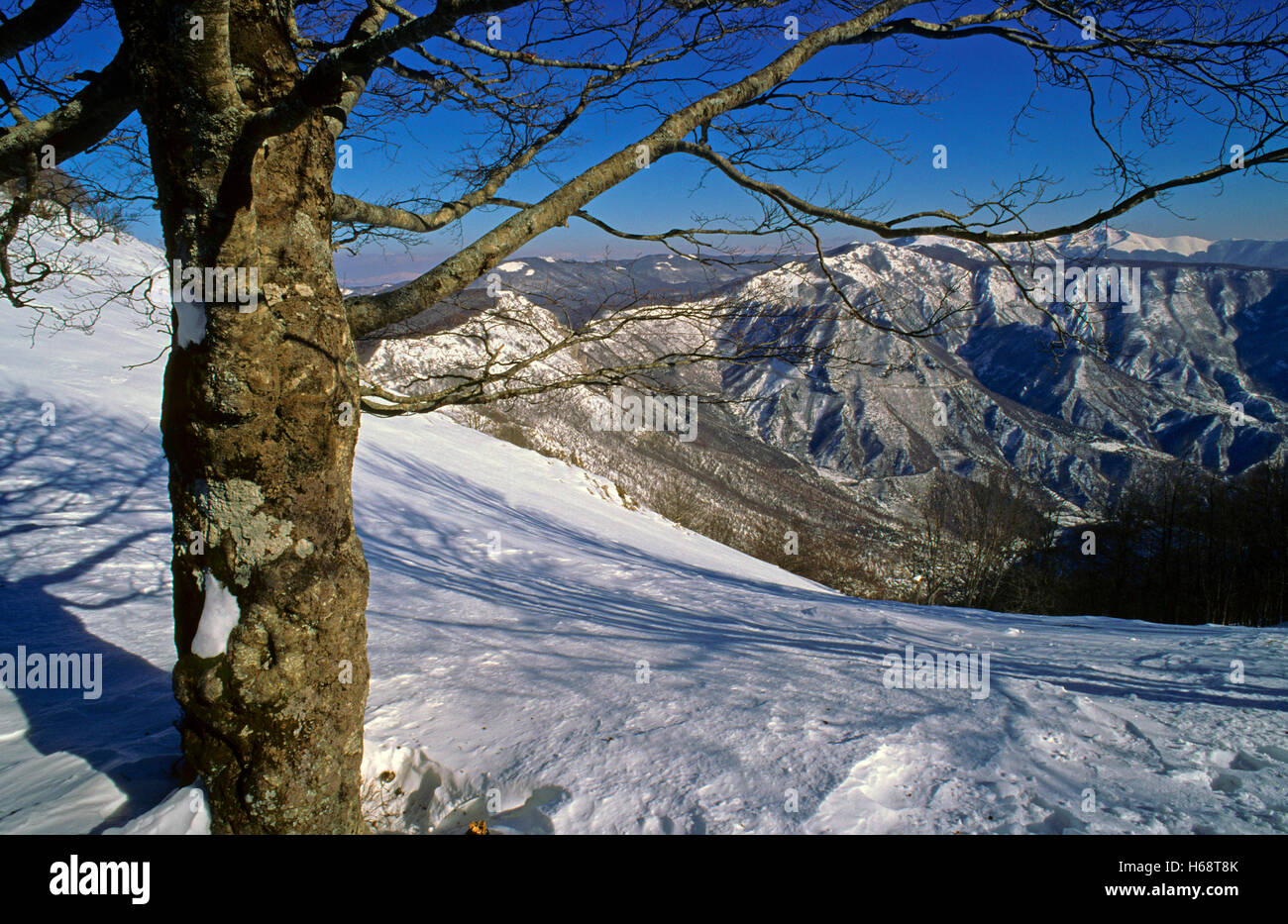 Monte Autore Natural park of simbruini mounts hi-res stock photography and images ...
