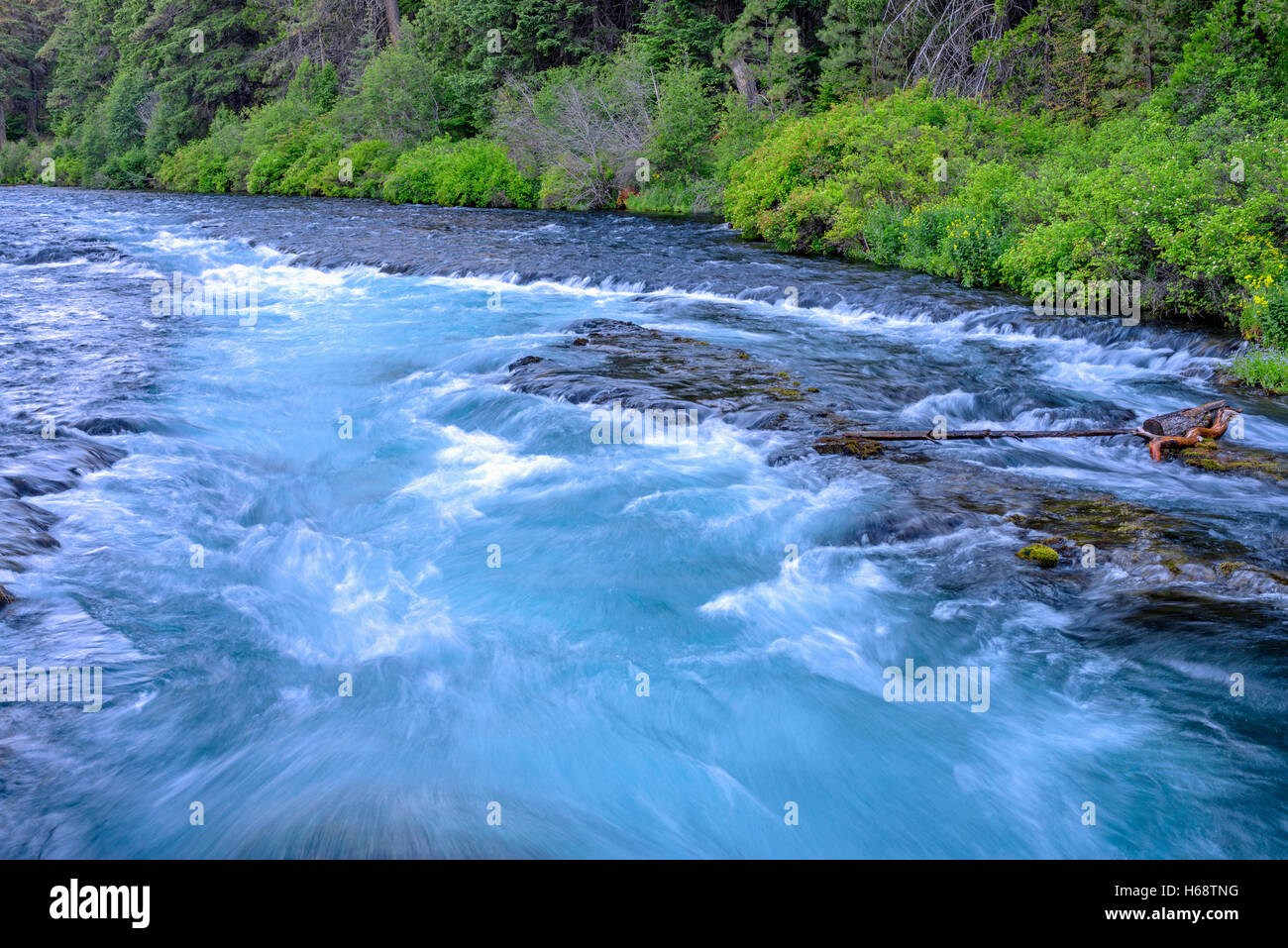 USA, Oregon, Deschutes National Forest, Wizard Falls and summer vegetation along the Metolius River - a Wild and Scenic River. Stock Photo