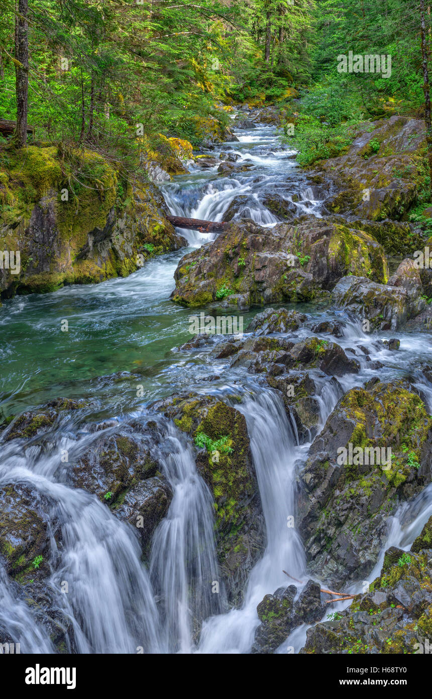 USA, Oregon, Willamette National Forest, Opal Creek Scenic Recreation Area, Multiple small falls and swift flow of Opal Creek. Stock Photo