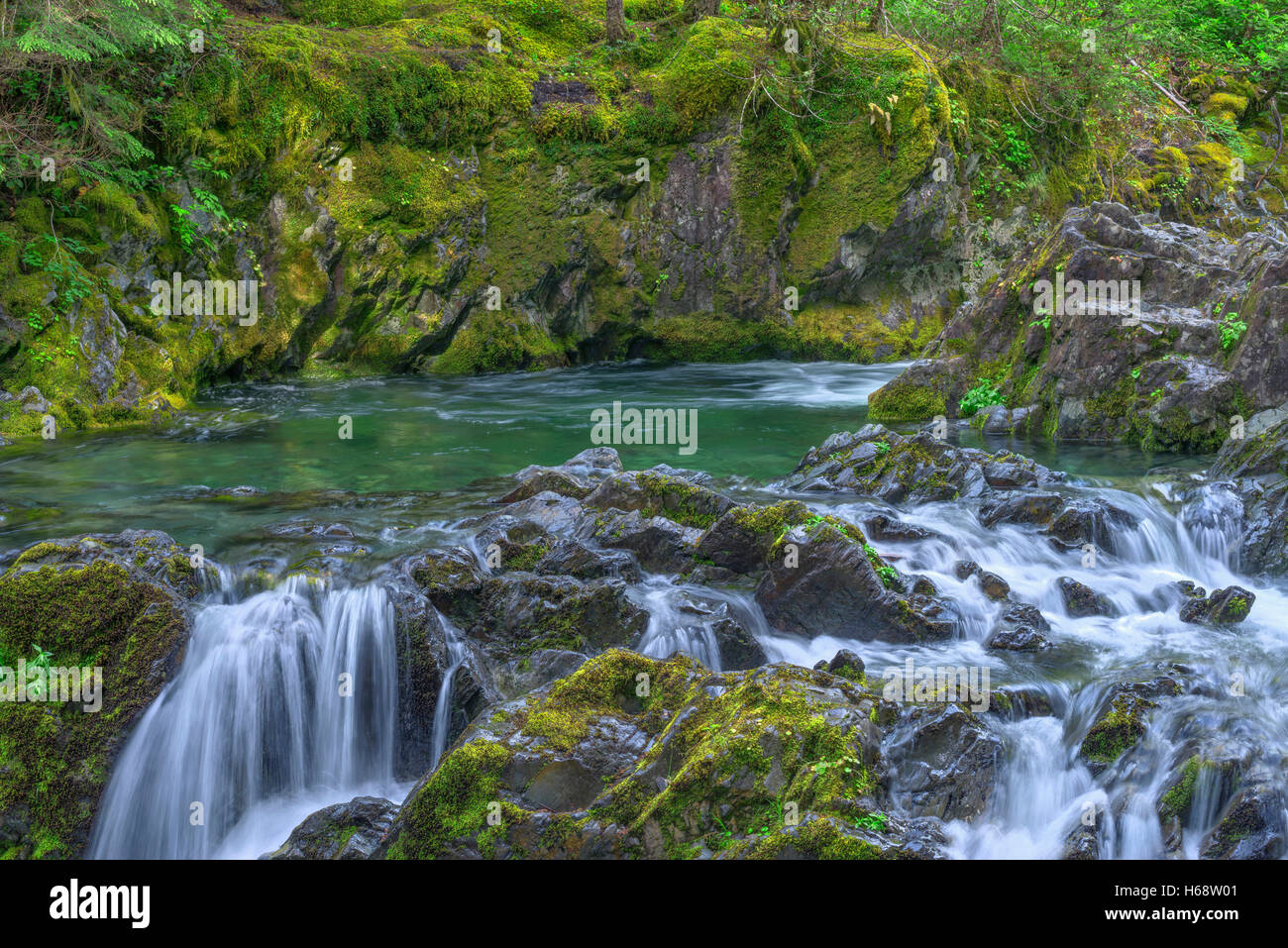 USA, Oregon, Willamette National Forest, Opal Creek Scenic Recreation Area, Multiple small falls and swift flow of Opal Creek. Stock Photo