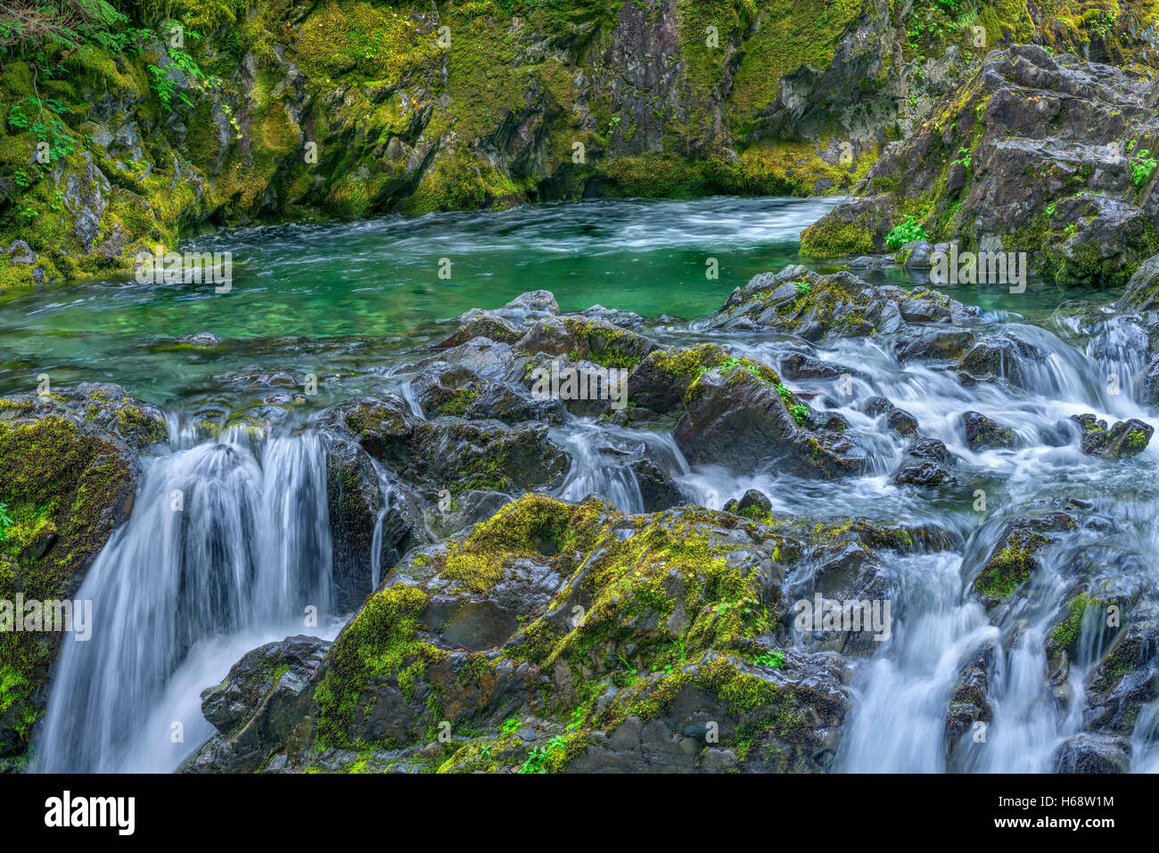 USA, Oregon, Willamette National Forest, Opal Creek Scenic Recreation Area, Multiple small falls and swift flow of Opal Creek. Stock Photo