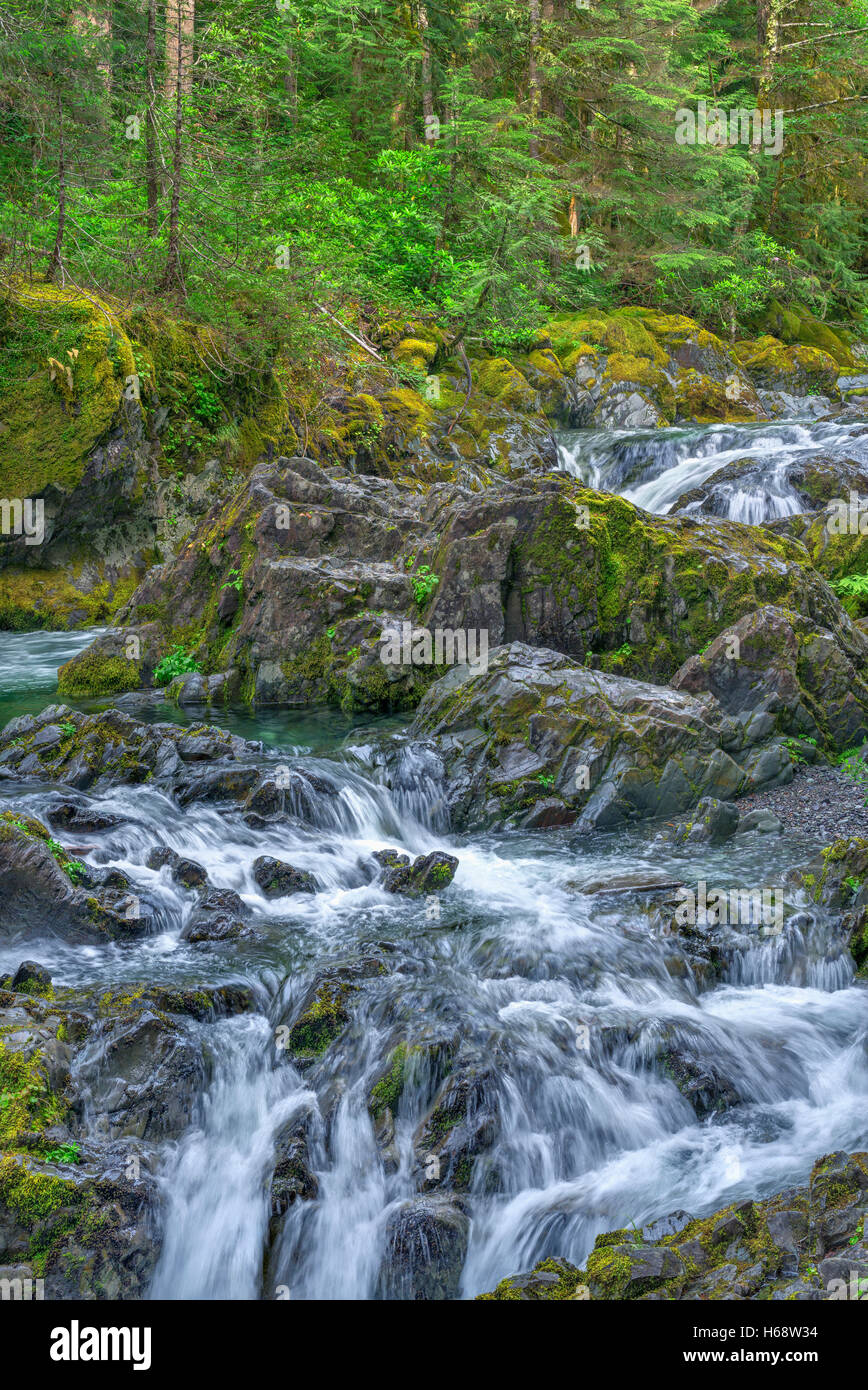 USA, Oregon, Willamette National Forest, Opal Creek Scenic Recreation Area, Multiple small falls and swift flow of Opal Creek. Stock Photo