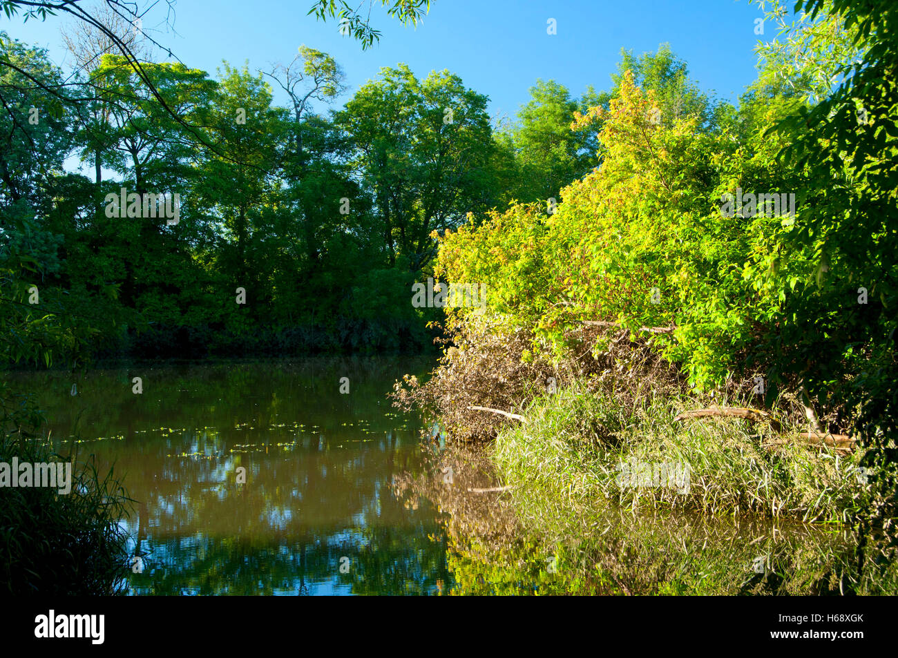 Mission Lake, Willamette Mission State Park, Oregon Stock Photo Alamy