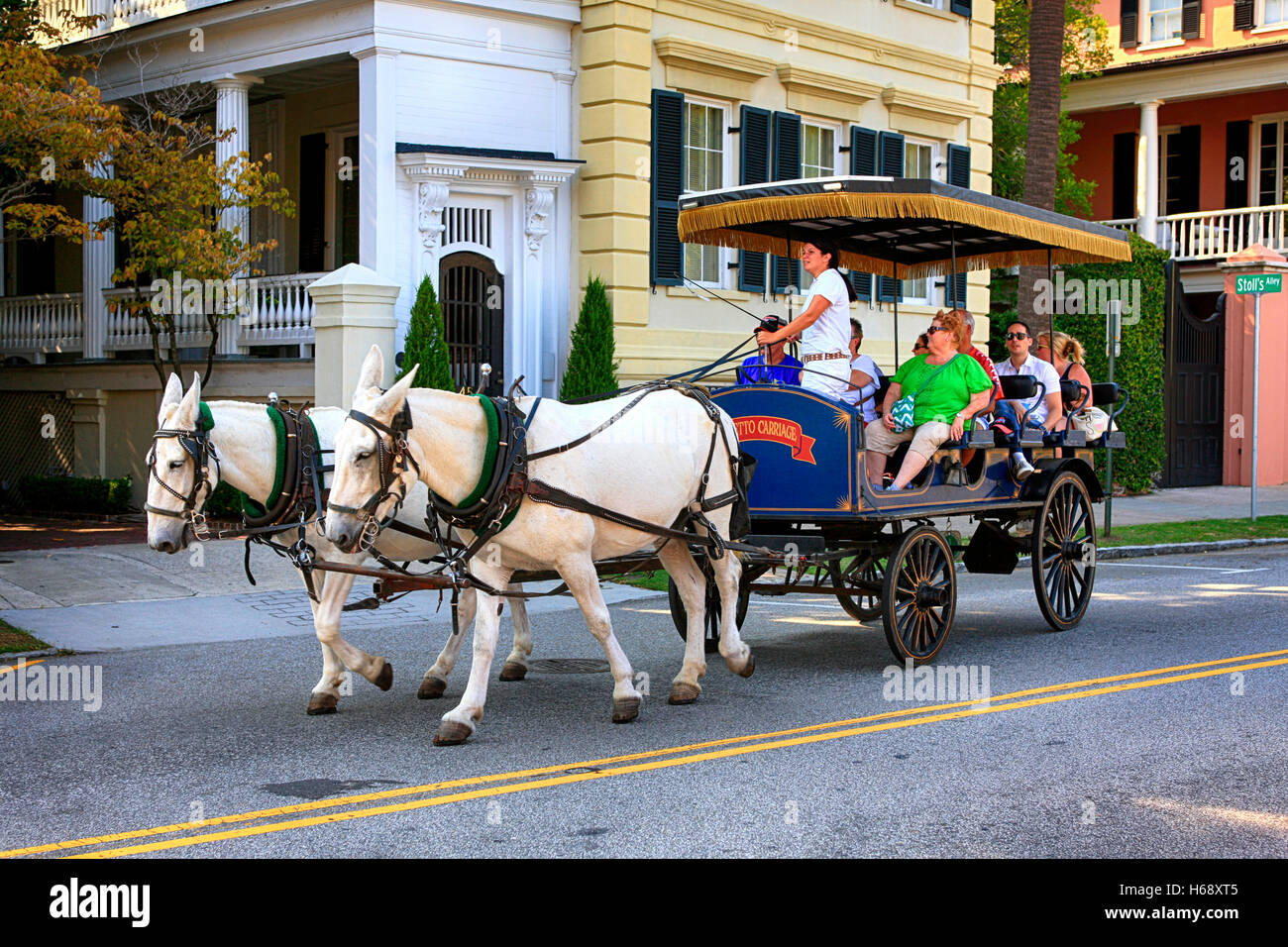 horse buggy tours charleston sc