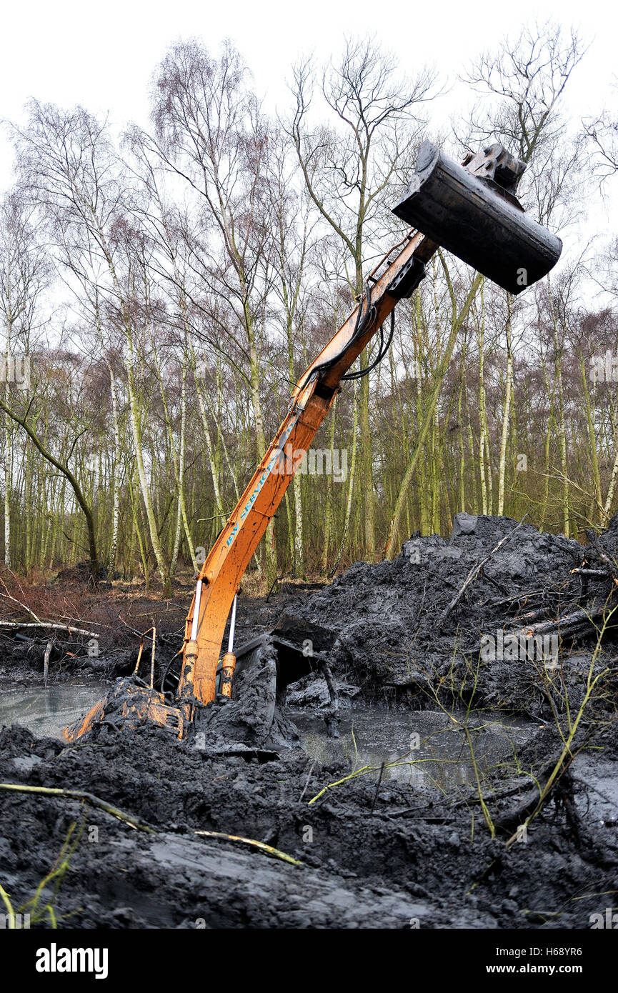 A mechanical digger stuck in mud Stock Photo Alamy
