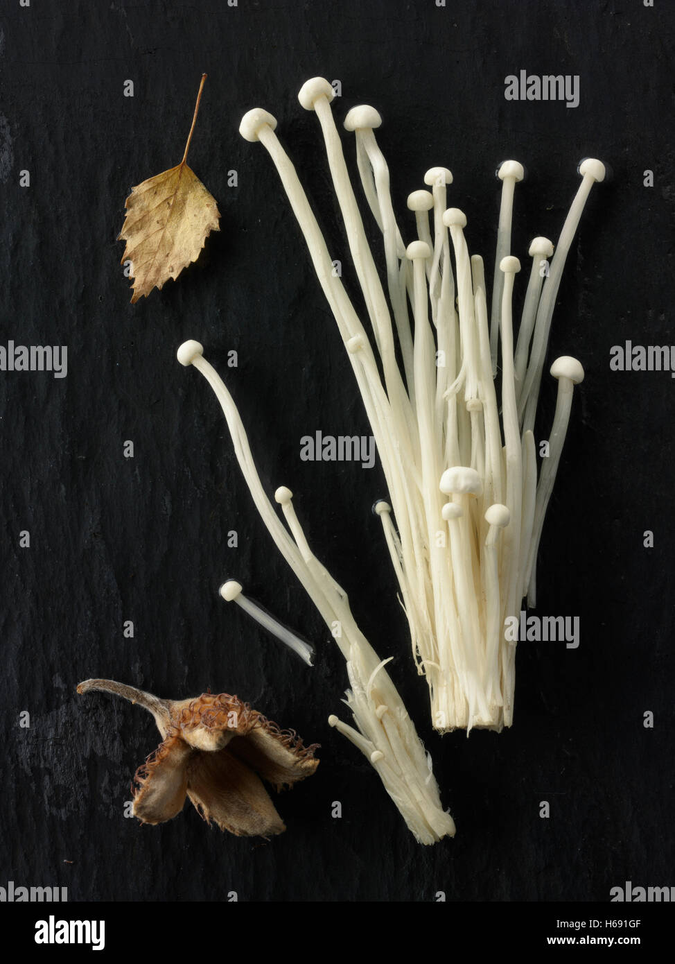 Fresh picked Pleurotus Eryngii straw mushrooms un cooked Stock Photo