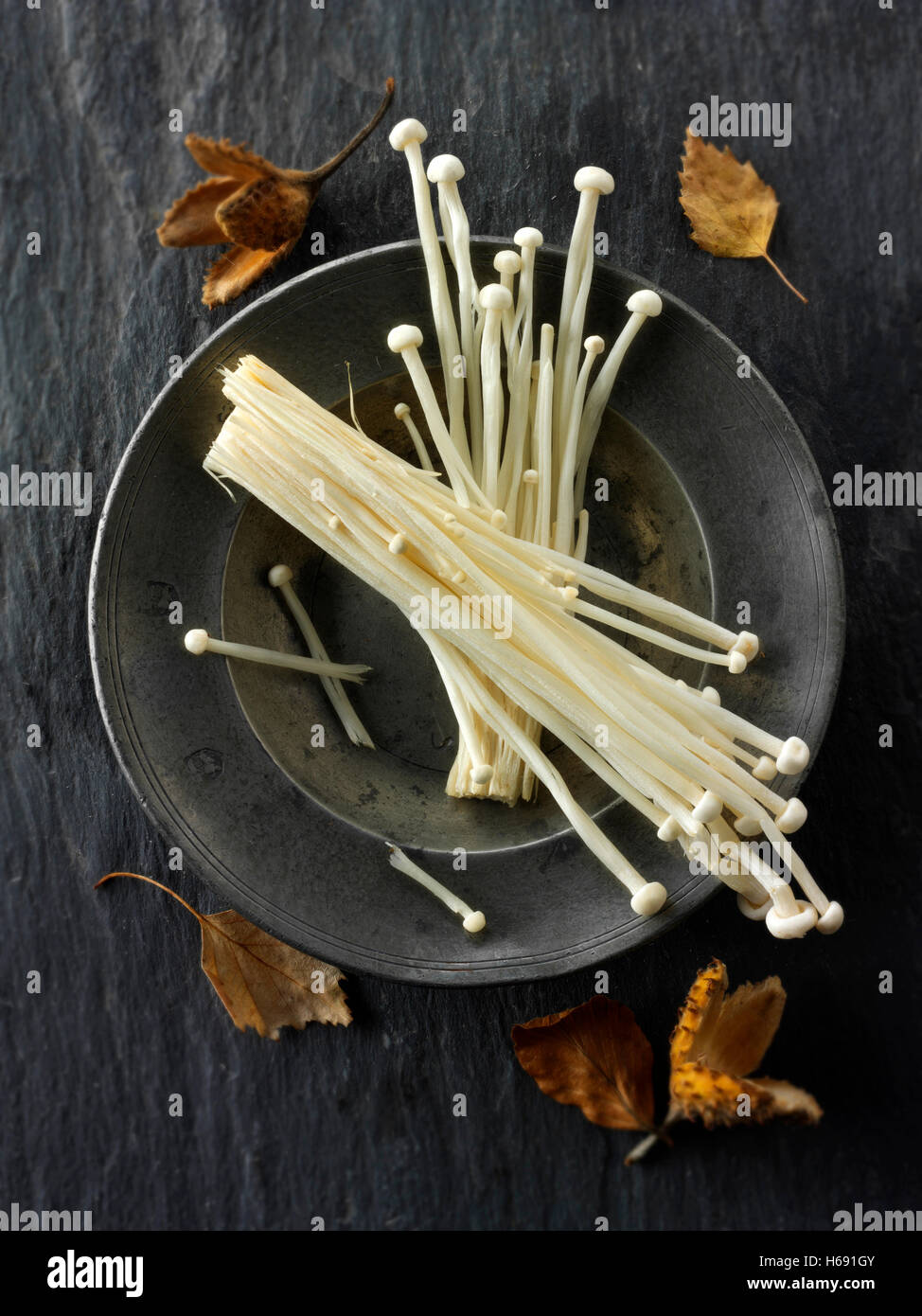 Fresh picked Pleurotus Eryngii straw mushrooms un cooked Stock Photo