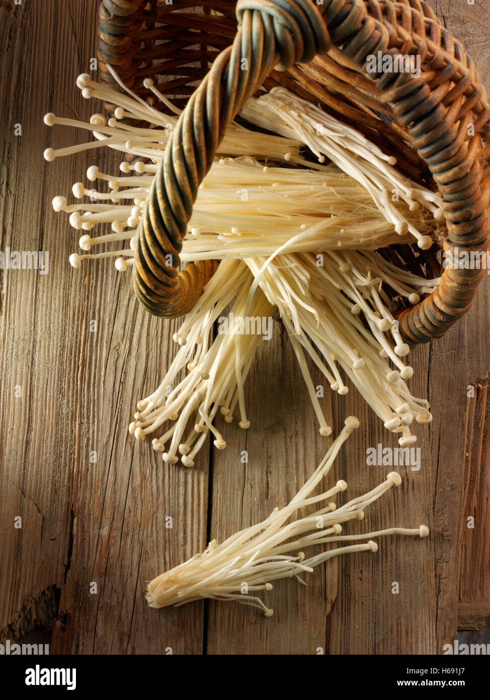 Fresh picked Pleurotus Eryngii straw mushrooms un cooked Stock Photo