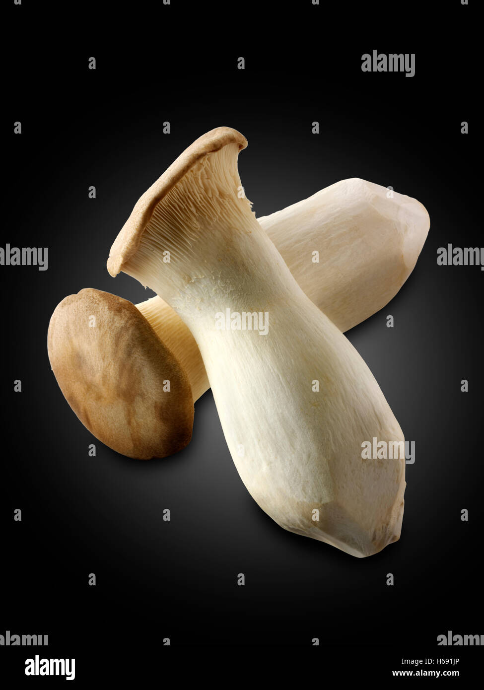 Straw Mushroom - Definition and Cooking Information 