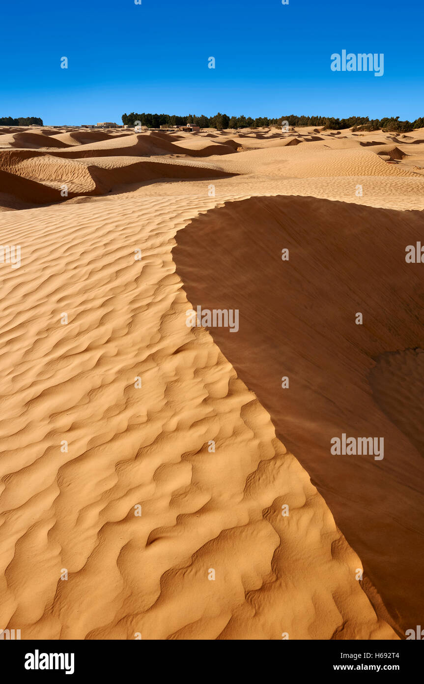 The Sahara desert sand dunes of Erg Oriental near the oasis of Ksar Ghilane, Tunisia, Africa Stock Photo