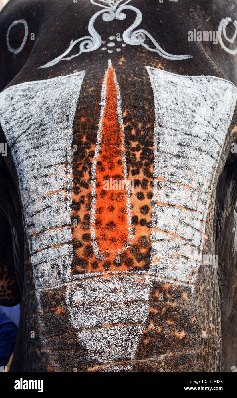 A colorful Vaishnava Tilaka on a Temple elephant in Srirangam, Tricy, India  Stock Photo - Alamy