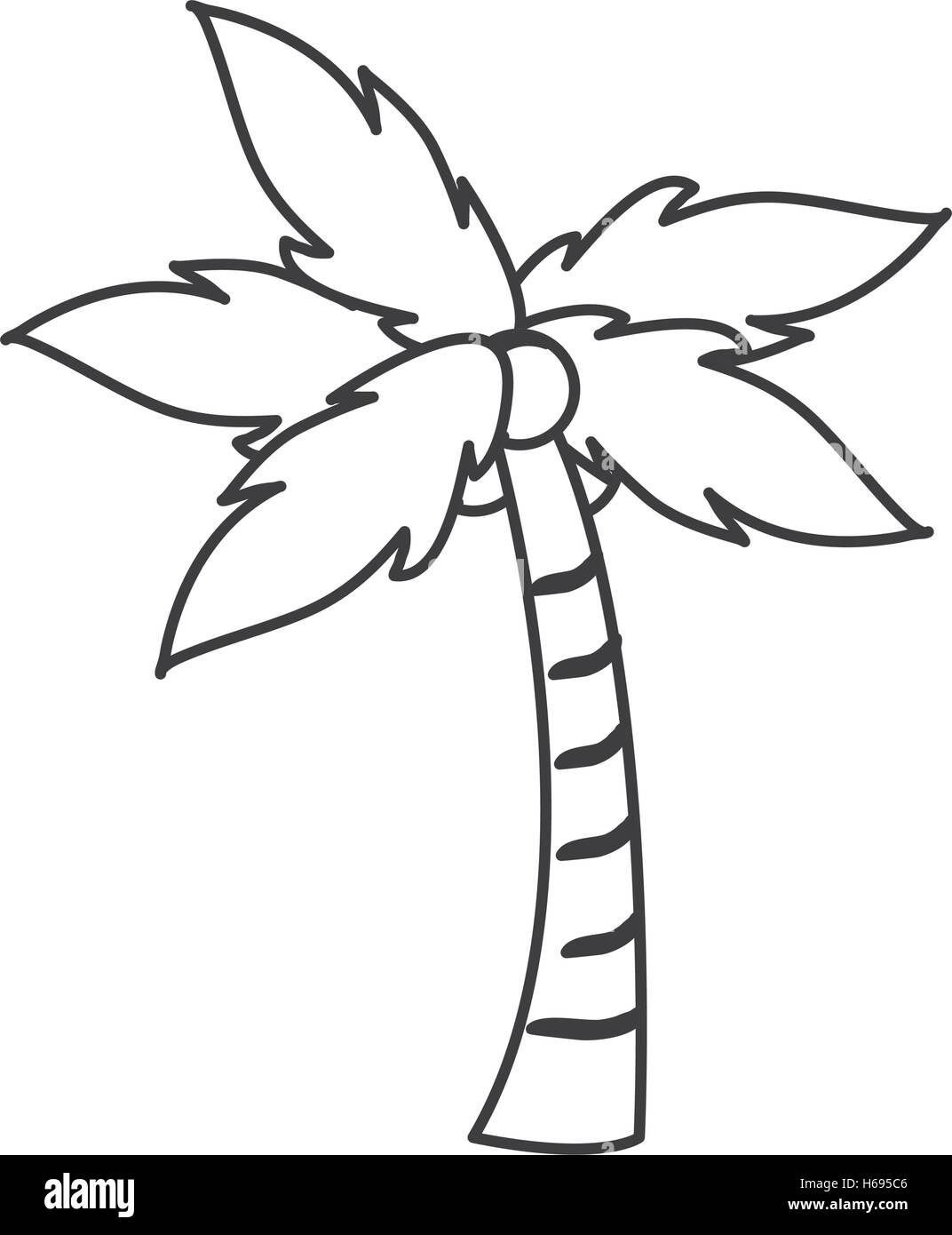 Isolated palm tree plant design Stock Vector Image & Art - Alamy