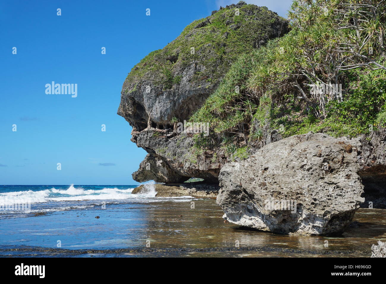 Eroded rocky shore with natural formation that looks like a monster head, Rurutu island, Pacific ocean, French Polynesia Stock Photo