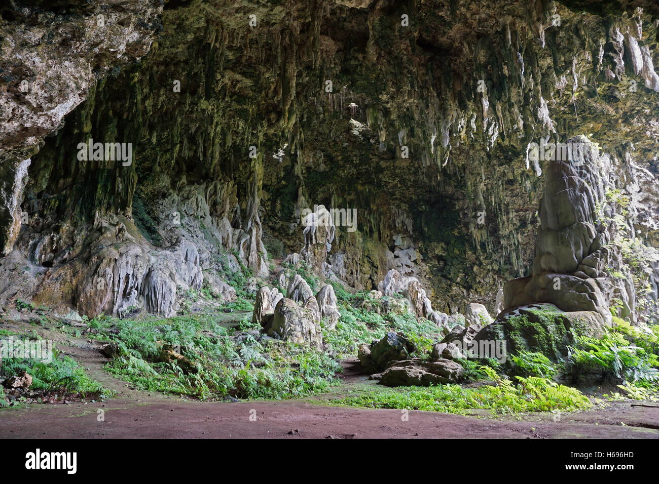 Large limestone cavern with stalactites and stalagmites, Ana aeo, Rurutu island, south Pacific, Austral, French Polynesia Stock Photo
