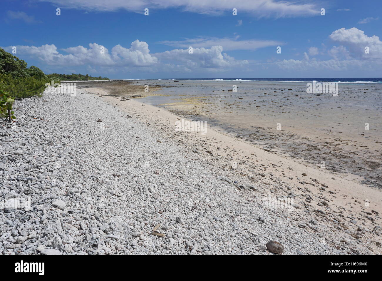 Wild coast on the open sea side of the atoll of Rangiroa, Tuamotu, French Polynesia, south Pacific ocean Stock Photo