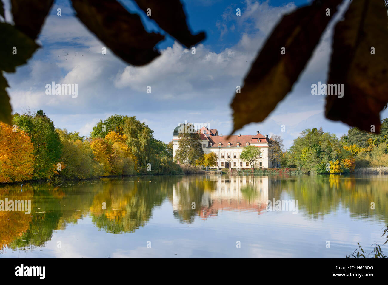 Hardegg Riegersburg castle, pond Oberer Teich, leaf of chestnut tree