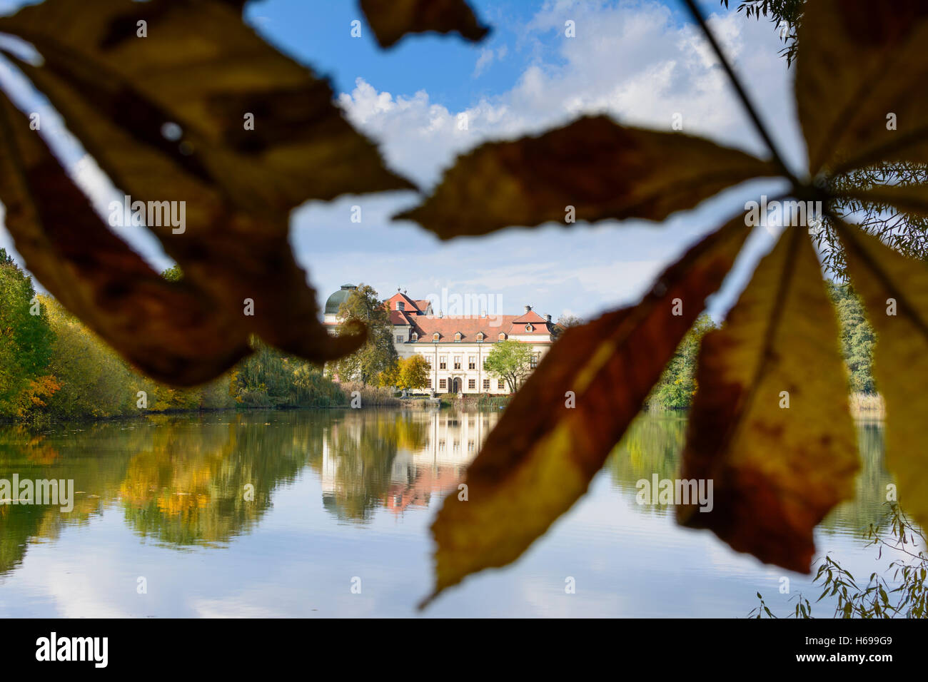 Hardegg: Riegersburg castle, pond Oberer Teich, leaf of chestnut tree, Waldviertel, Niederösterreich, Lower Austria, Austria Stock Photo