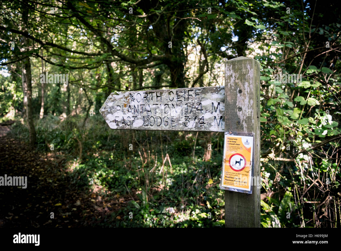 A wooden signpost in Tehidy Country Park in Cornwall. Stock Photo